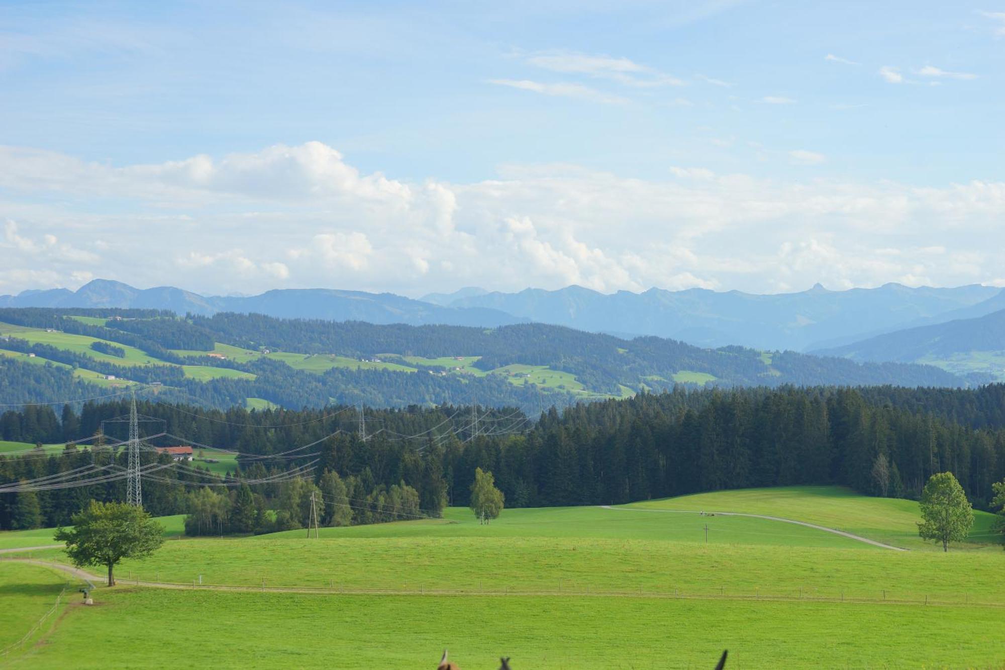 Relax - Petrol Mit Pool Und Sauna Scheidegg Exterior photo
